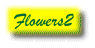 Flowers2